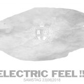 Electric Feel !